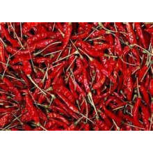 Hochwertiges neues Crop Dried Chili zum Verkauf